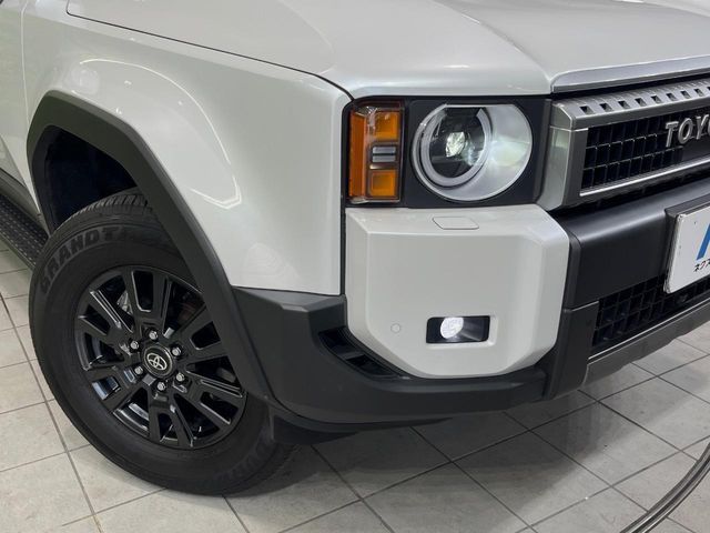 LANDCRUISER 250