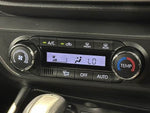 RAIZE HYBRID