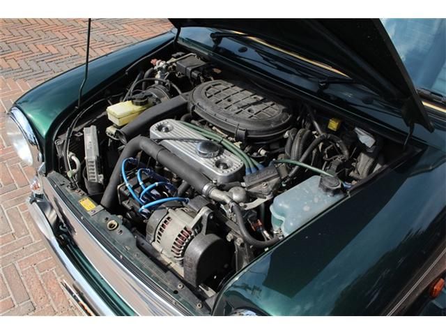 ROVER MINI