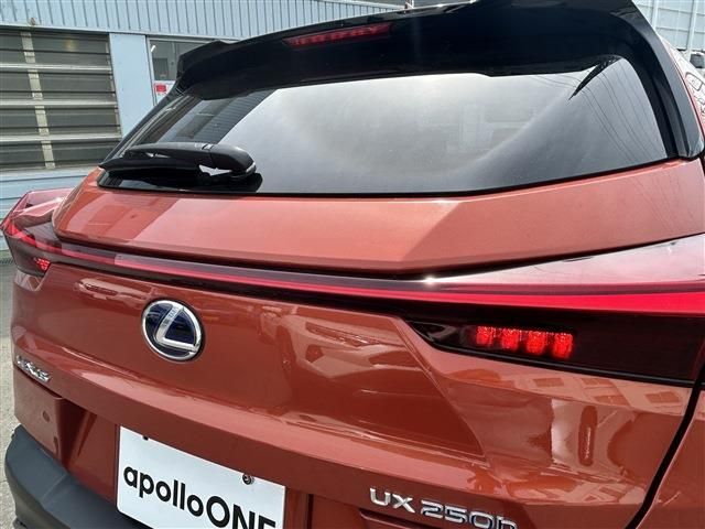 LEXUS UX250h AWD