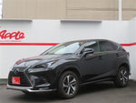 LEXUS NX300