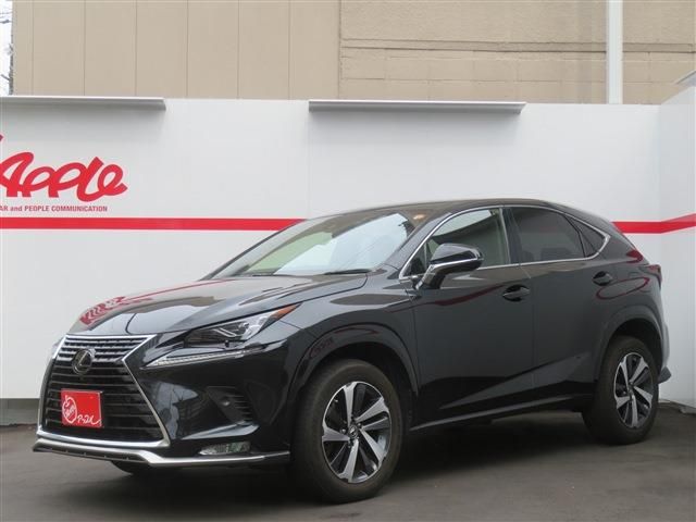 LEXUS NX300