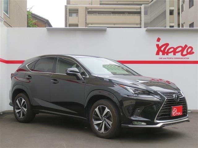 LEXUS NX300