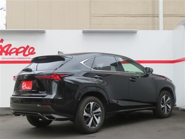 LEXUS NX300
