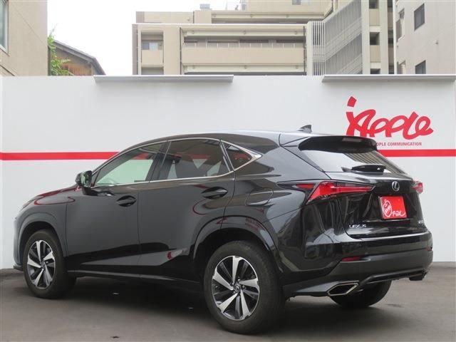 LEXUS NX300
