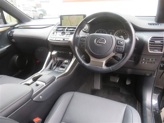LEXUS NX300