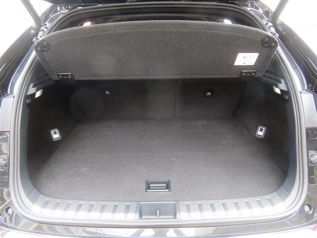 LEXUS NX300
