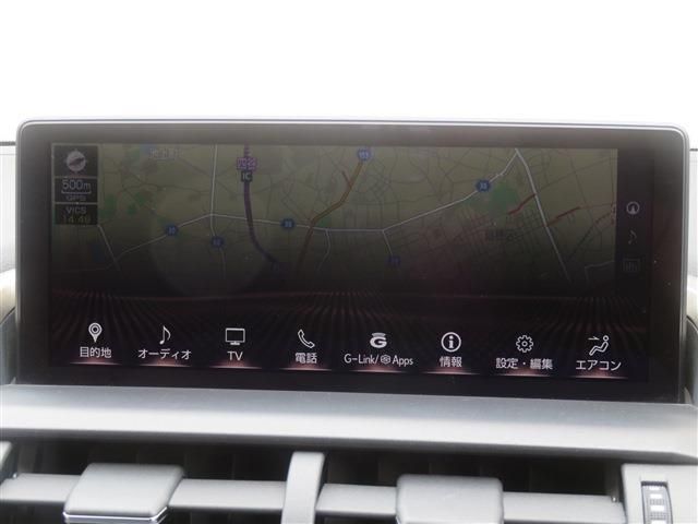 LEXUS NX300