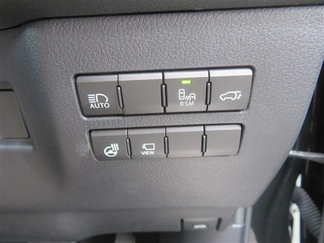 LEXUS NX300