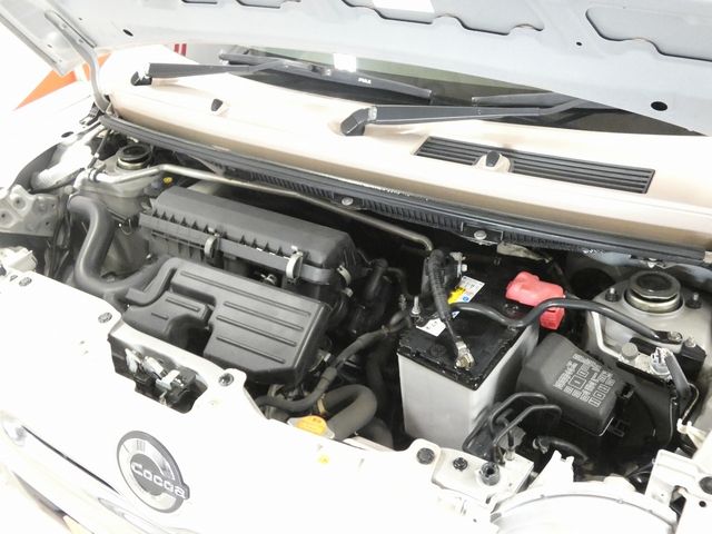 MIRA Cocoa 4WD