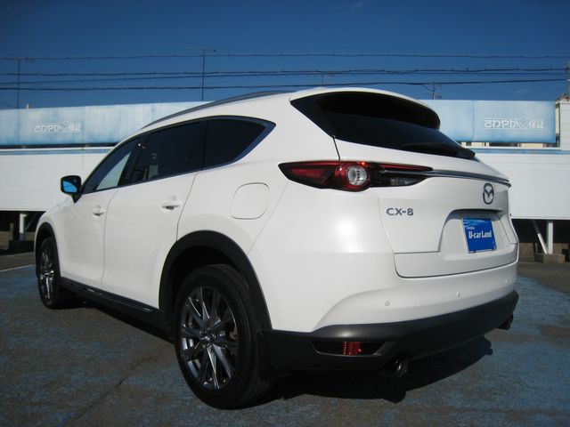 CX-8