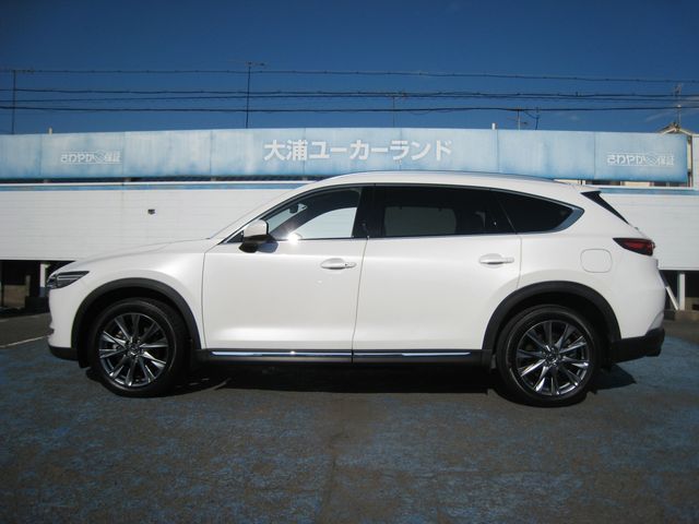 CX-8