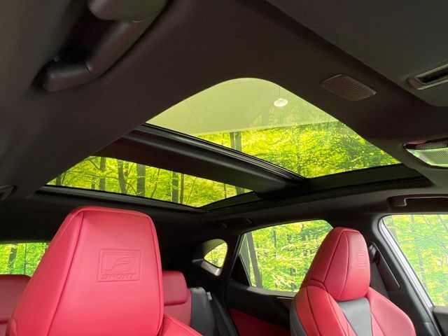 LEXUS NX350h