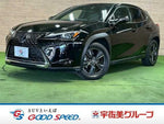LEXUS UX250h