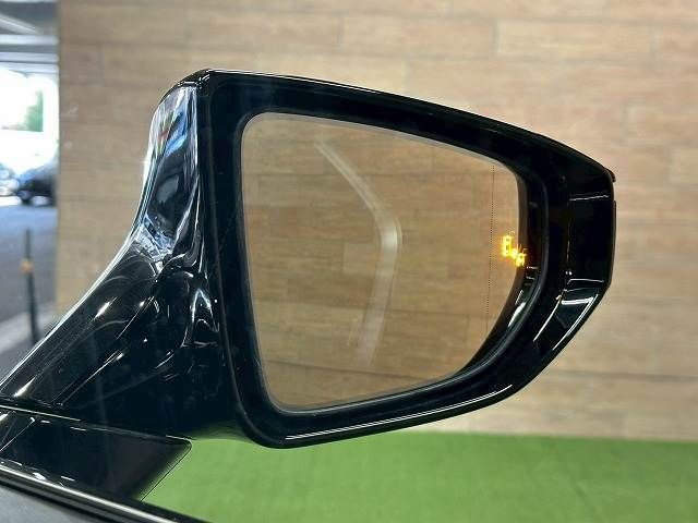 LEXUS UX250h