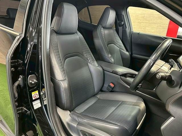 LEXUS UX250h