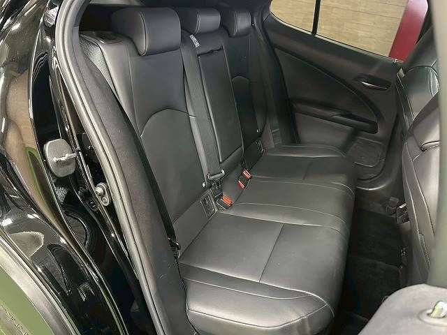 LEXUS UX250h