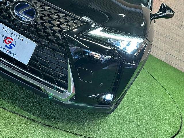 LEXUS UX250h