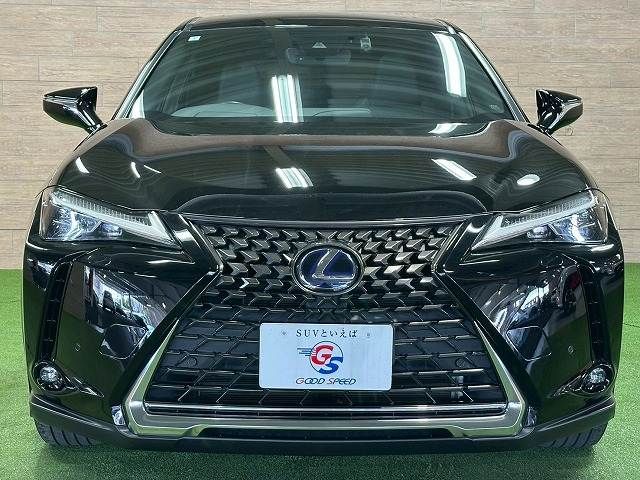 LEXUS UX250h