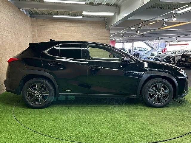 LEXUS UX250h