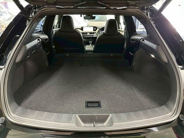 LEXUS UX250h