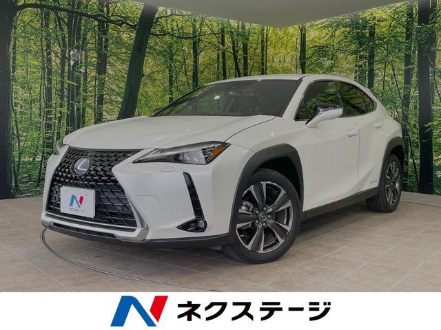 LEXUS UX250h