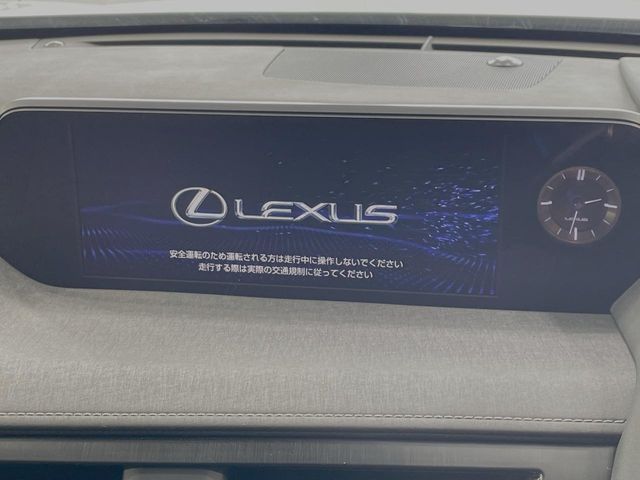 LEXUS UX250h