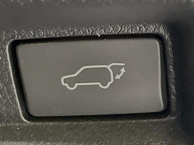 LEXUS UX250h