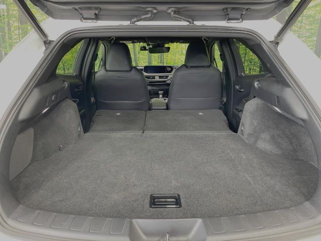 LEXUS UX250h