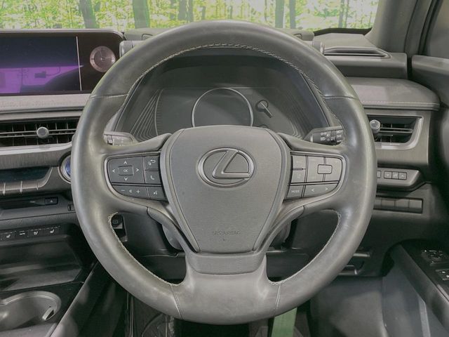 LEXUS UX250h