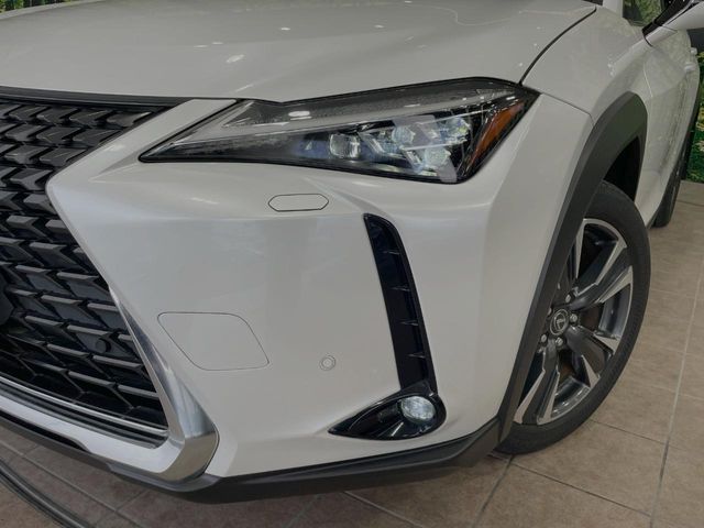 LEXUS UX250h