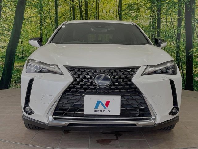 LEXUS UX250h