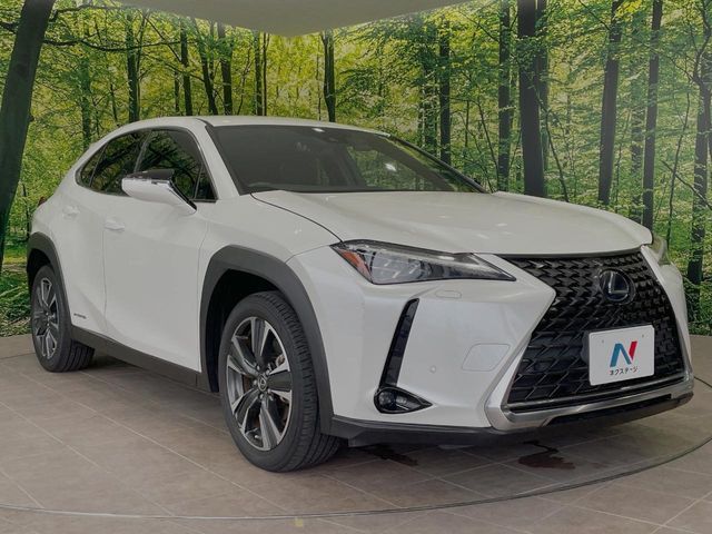 LEXUS UX250h