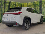 LEXUS UX250h