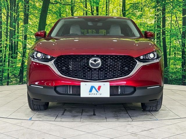 CX-30
