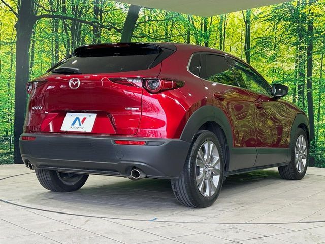 CX-30