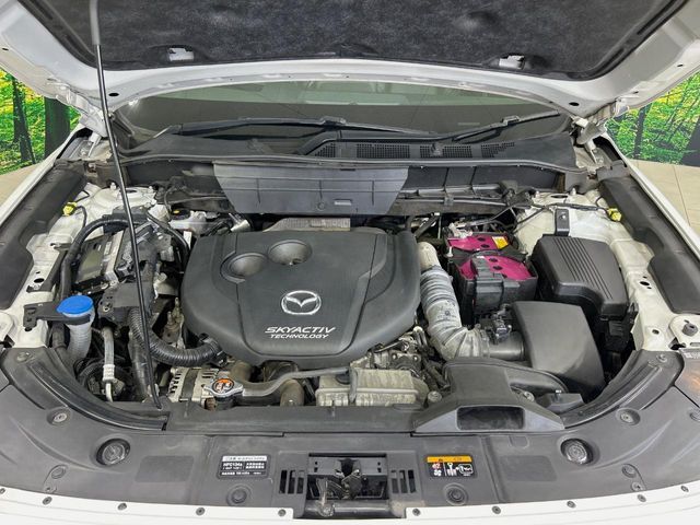 CX-8