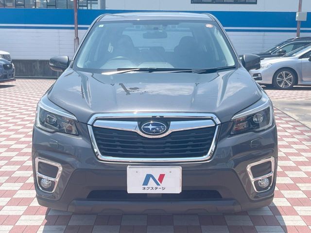 FORESTER