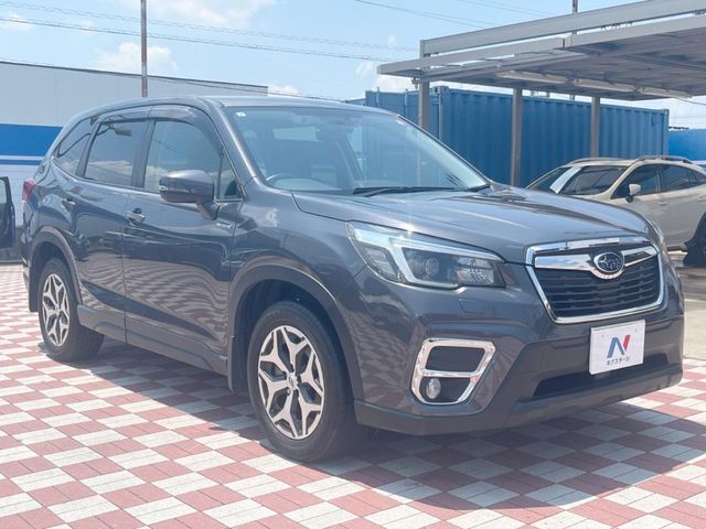 FORESTER