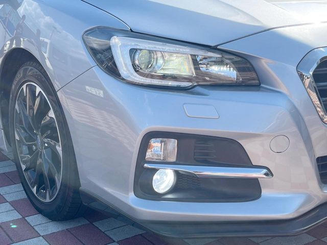 LEVORG