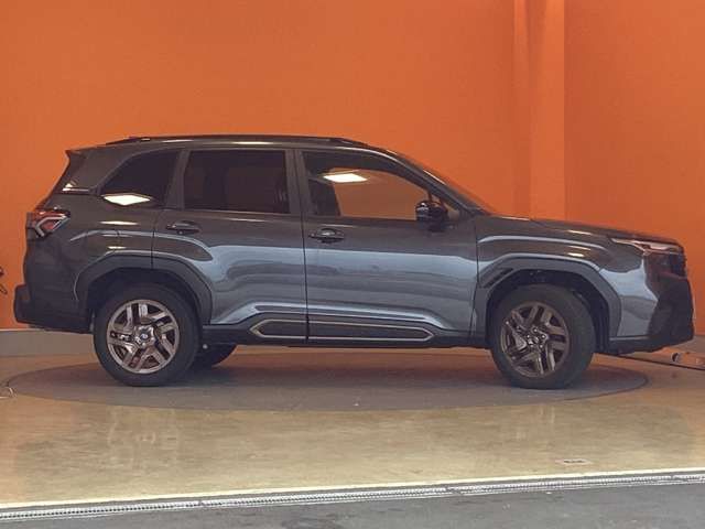 FORESTER