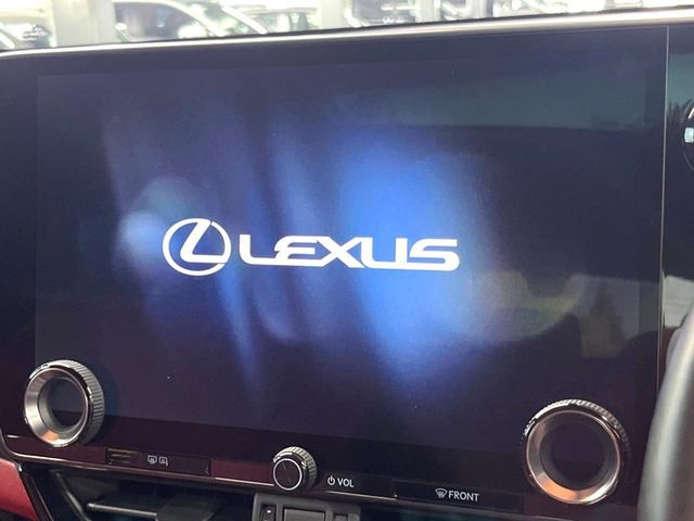LEXUS NX350h