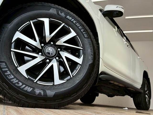 LANDCRUISER PRADO