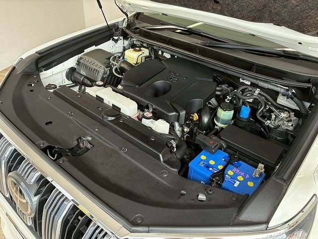 LANDCRUISER PRADO