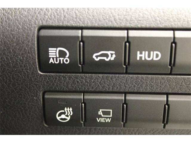 LEXUS RX200t