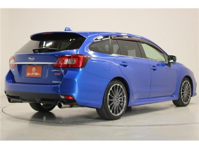 LEVORG
