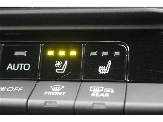 CROWN SPORT