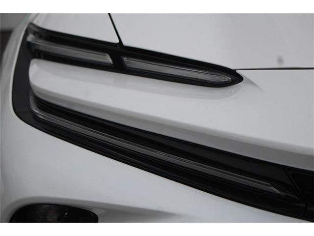 CROWN SPORT