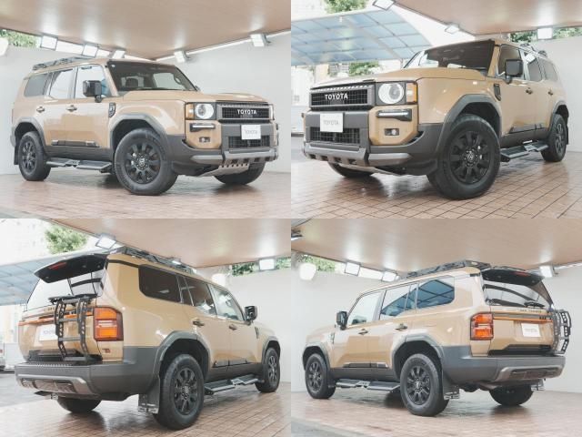 LANDCRUISER 250