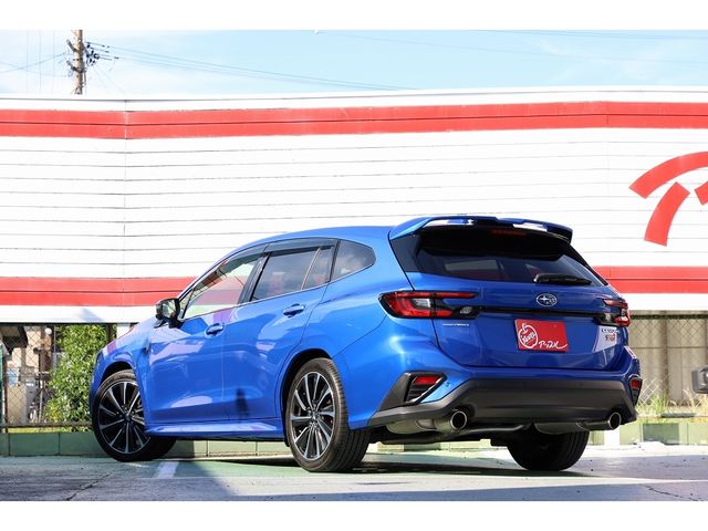 LEVORG
